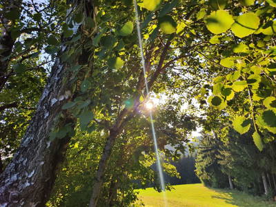 Bild 109 aus  Obergrafenberger