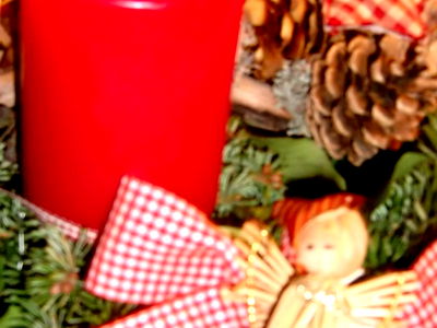 Bild 76 aus Archehof Eislbauer