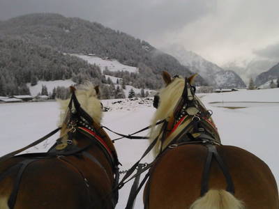 Bild 100 aus Riatschhof
