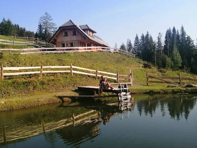 Bild 36 aus  Almchalet Nikola