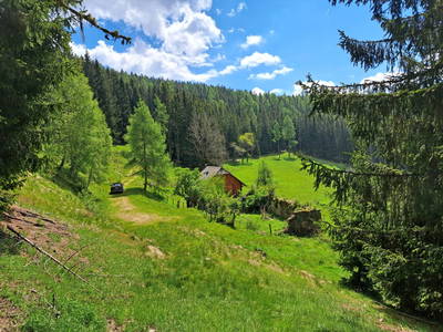 Bild 77 aus Pettacher Hütte