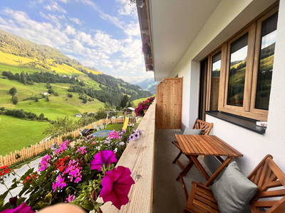 Bild 13 aus  Schaidreithof