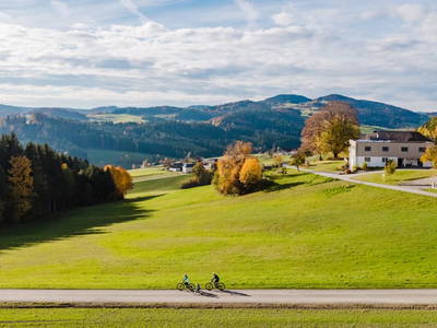 Bild 11 aus  Gut Pecketsberg