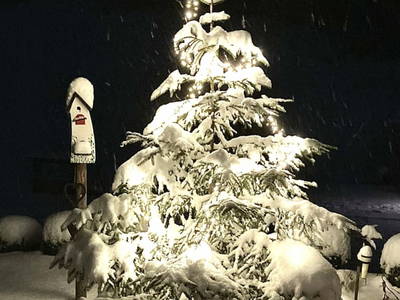 Bild 21 aus  Ferienhaus HochkarBlick