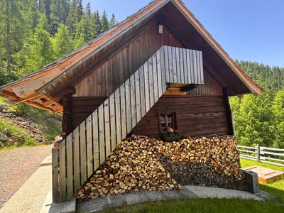 Bild 80 aus  Wallneralm