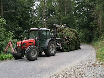 Bild 27 aus  Rosspointnerhof