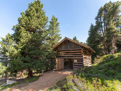 Bild 19 aus  Stalderhütte