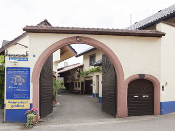 Bild 15 aus  Ökologisches Wein- und Sektgut