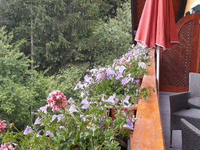 Bild 69 aus  Dichtlhof