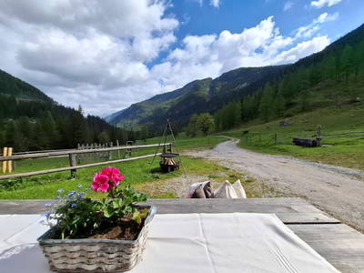 Bild 30 aus Hintereggalm