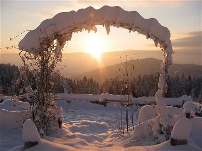Bild 69 aus Natur-Gut Lassen