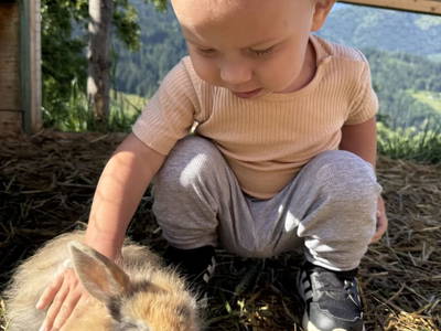 Bild 78 aus  Bio Bauernhof Oberbenk