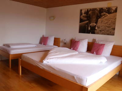 Bild 248 aus  Familienbauernhof Bereuter