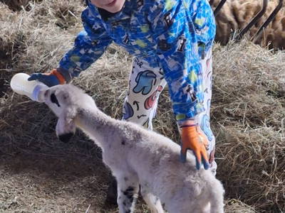 Bild 43 aus  Vitalbauernhof Zulehen