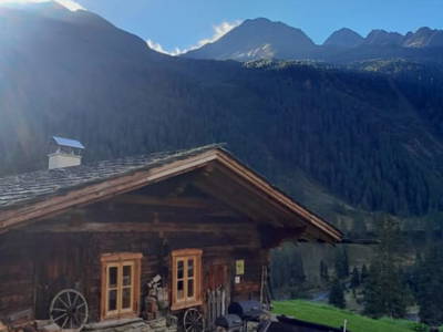 Bild 30 aus Schuster Alm