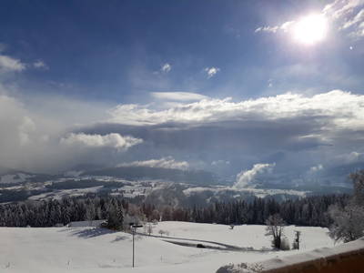 Bild 46 aus  Antoniushof