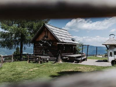 Bild 91 aus  Pension Zechnerhof