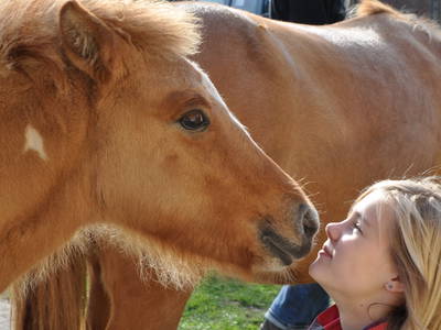 Bild 3 aus  LandSelection Rüsterhof