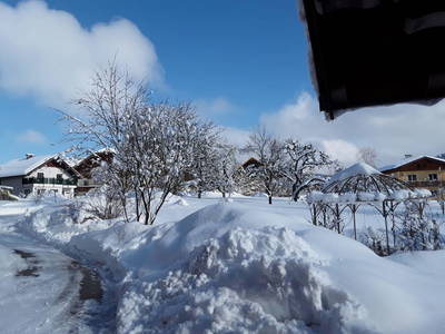 Bild 79 aus  Dichtlhof