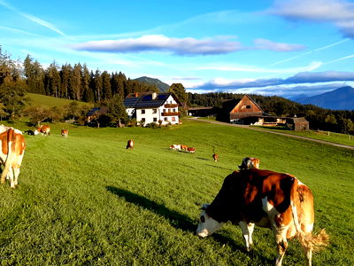 Bild 3 aus Bio-Heuhotel Zeischgl