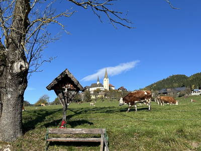 Bild 21 aus  Lacknerhof in Liebenfels- Familie Klocker