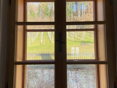 Bild 77 aus  Trattnachtaler Weinhaus