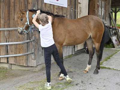 Bild 40 aus Erlebnis-Bauernhof Schrannenhof
