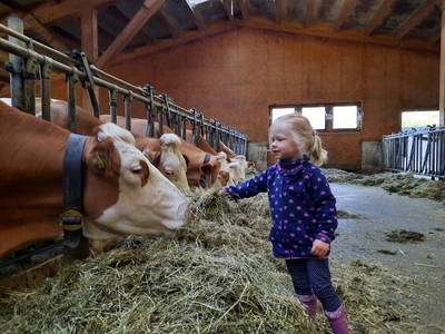 Bild 25 aus  Madlstatthof - Sonnenappartments