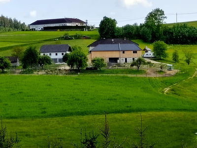 Bild 14 aus Biohof Viertl