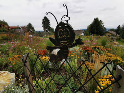 Bild 10 aus  Frühstückspension Buchner