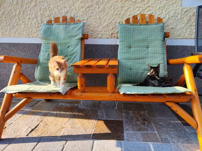 Bild 112 aus  Obergrafenberger