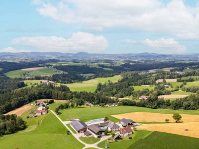 Bild 90 aus  Grainmeister