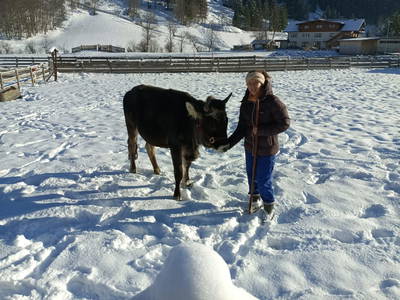 Bild 85 aus  Alfaierhof & Bergheimat