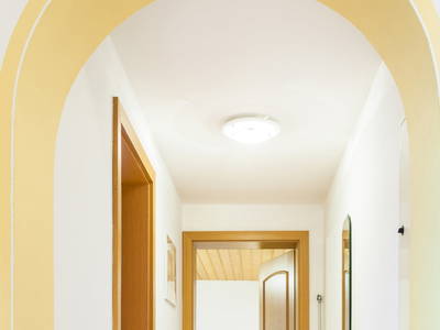 Bild 44 aus  Bio Bauernhof Paulbauer