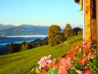 Bild 21 aus  Haus Dreiländerblick