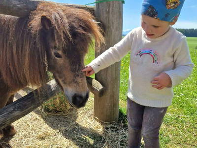 Bild 10 aus  Frankhof