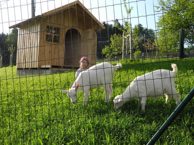 Bild 44 aus  Peter in der Edt