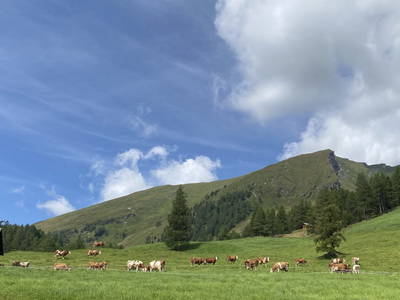 Bild 13 aus  Wansinghütte