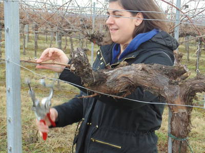 Bild 46 aus  Schmankerl und Gast Heiderer