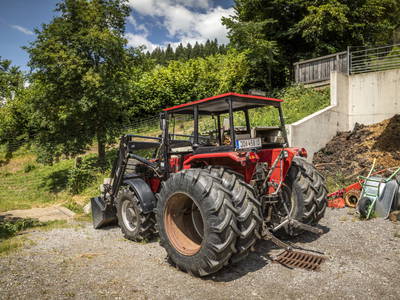 Bild 87 aus  Mittergasteg