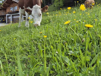Bild 15 aus Waldhof