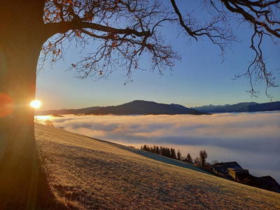 Bild 66 aus  Ferienhof Schneiderweg