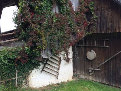 Bild 28 aus  Zwanzgerhof