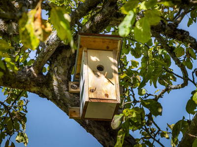 Bild 61 aus  Ferienhaus Untergrünweg