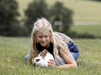 Bild 17 aus  Ferienhof Jakob, Rohrhof