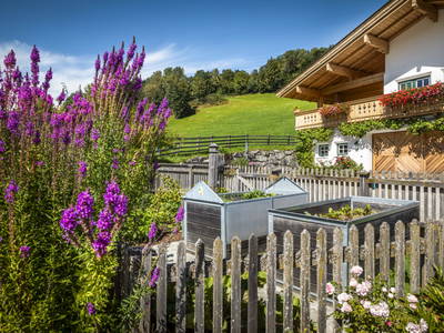 Bild 7 aus  Viehhofgut