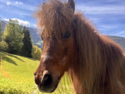 Bild 18 aus  Lahnerhof