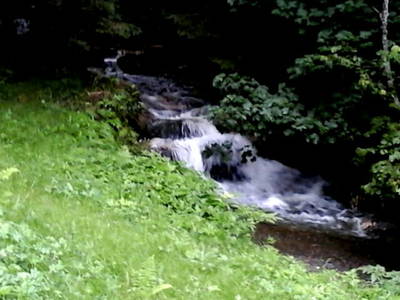 Bild 73 aus  Thurn-Ummerstall