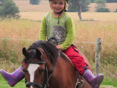 Bild 10 aus  Hof Börsby