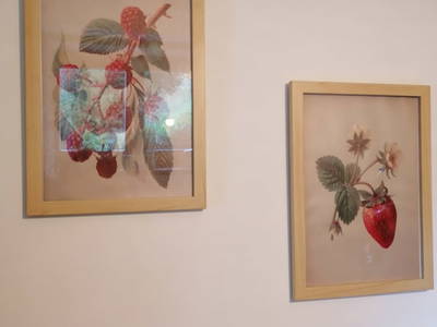 Bild 24 aus  Almhaus Sparwald